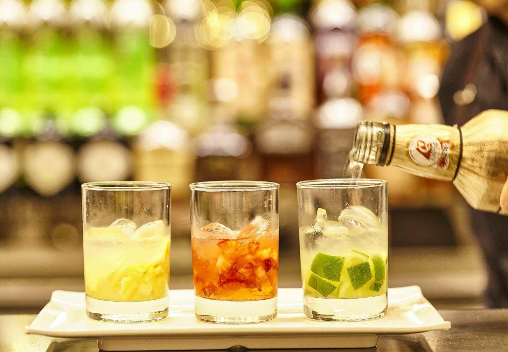 波拉马拉维拉城际酒店 里约热内卢 外观 照片